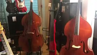 SHOP TOUR!! // The Bass Gallery