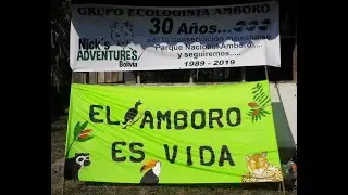 10 Datos interesantes del Parque Nacional Ambor&oacute;