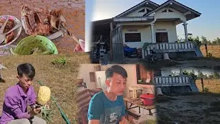 Chai txiv puv luj noj nawb ntxim qab kawg li/24/12/ 2025