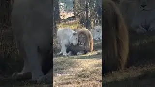 She just loves her King 👑