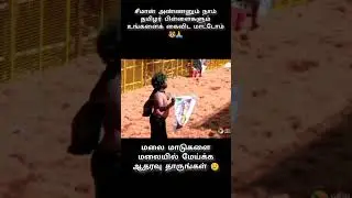 We have your support 🐯#seeman #ntkseeman #ntkspeech #jallikattu #naamtamilarkatchi #politics