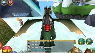 Wizard101: How to do the Walk through Walls Glitch