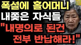 ''내집, 차 전부 반납해!'' 기록적인 폭설에 어머니를 내쫒은 자식에게 통쾌한 복수 했습니다