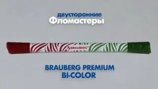 Фломастеры двусторонние BRAUBERG PREMIUM 