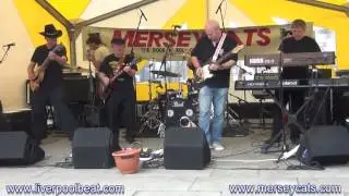 Merseycats at The St Helens 