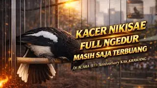 Kerja KERAS‼️FULL NGEDUR DI BEBERAPA SESI MASIH SAJA TERBUANG KACER NIKISAE