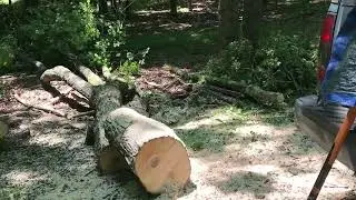 Дорога Firewood & Clearing Road - Началась заготовка дров... Сезон заготовки дров 2025 года