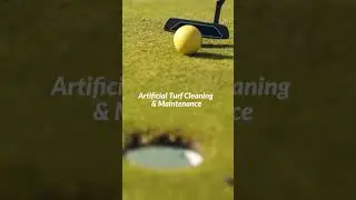See the difference when your turf gets the Clean Turf touch  #shorts