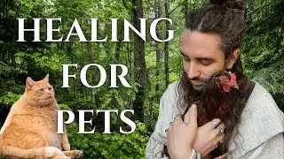 Reiki for Animals 🐾 ASMR Healing Energy to Calm, Comfort & Rebalance Your Pet