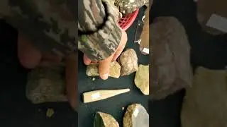 GEM SHOW Dinosaur Bone