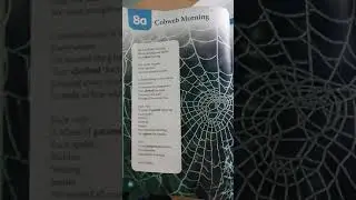 Starlight p. 90 Cobweb Morning