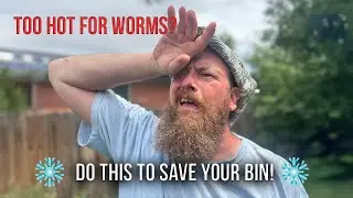 5 Genius Ways to Keep Worms Cool in Summer!