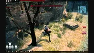 Vindictus Fiona Gameplay