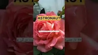 ASTRONAUT meaning in urdu.Word with A