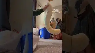 Sculpting the motion tail!