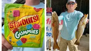 CATCHING FISH ON STARBURST CANDY!!!! In Steinhatchee Florida