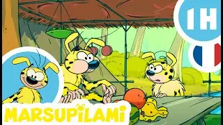 Marsupilami Houba ! Houba ! Hop ! 🤩 Compilation d'épisodes complets 🥳