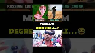 #indian #russian #degree #troll #funny #trending #news #explore