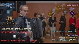 🔴Formatia Trio Music 🪗🤌Dragos Dinescu 0744 357 524 🪗 Muzică la acordeon (oficial video) #2023 #colaj