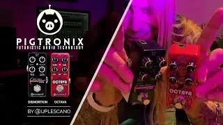 Pigtronix Octava / OFM Disnortion - reviews by @uplescano