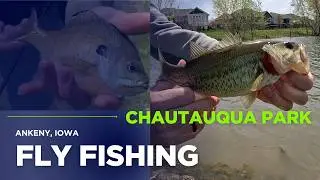 Ankeny, Iowa Fly Fishing: Chautauqua Park Pond