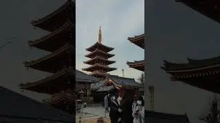 Asakusa Temple guide 🍡⛩️ #asakusa #japan #japantravel  #asakusatemple #tokyoguide #tokyotravel