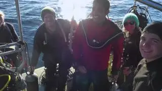 HMCS Sasketchewan and Orlebar Point - November 2014