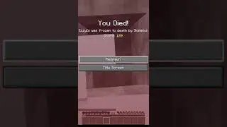Death Messages Trivia | Minecraft 1.18