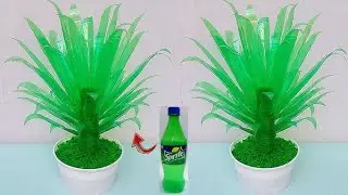 Plastic ki bottle Sy plant banana
