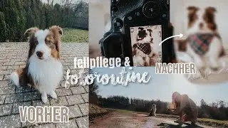 ICH VERWANDLE JACK IN EIN HUNDEMODEL... 😍 *just for fun* | Fellpflege & Fotografie | Kim Jaro