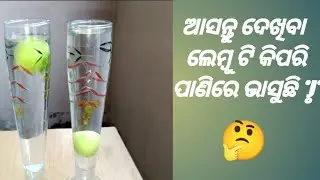 Water Density Experiment With Lemon and Salt || Odia Experiment Video