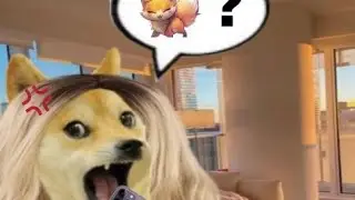 ZOR** 🦊 con cheems versi&oacute;n beta cr&eacute;ditos a alexmax14 
