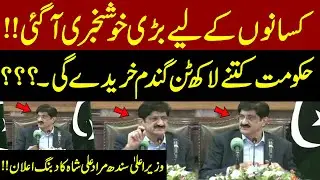 🌾 Big News for Farmers! | CM Sindh Murad Ali Shah Announces Massive Wheat Procurement Plan