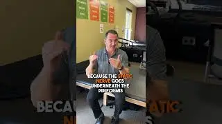Seated Sciatic Stretch for Sciatica Pain