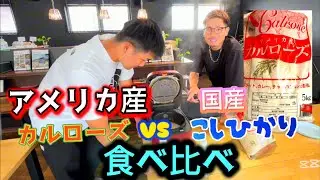 【カルローズ米】味は❓スーパーで売ってるアメリカ産カルローズ米と日本米を食べ比べしてみた🍚