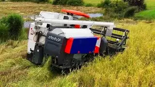 Nice Processing Rice Harvester Machine Kubuota DC70Plus Safety Operator Skills Workers At Farm`s