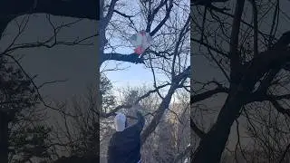 1 kite VS 10 log😱|Street kite catching#kite #short #youtubeshorts