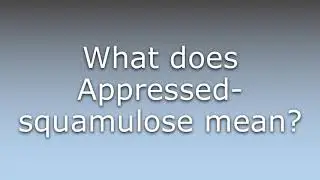 What does Appressed-squamulose mean?