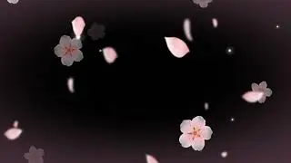 BACKGROUND FALLING PETALS/CHERRY BLOSSOM FALLING/FREE VIDEO