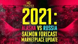 3MMI - Alaska vs Russia Salmon Forecast: What the Data Actually Reveals