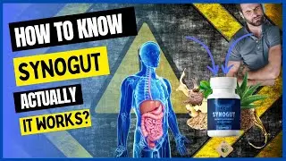 Synogut, key to a healthy digestive system, synogut review.