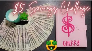THIS is how much I saved for my $5 Savings Challenge (Update)