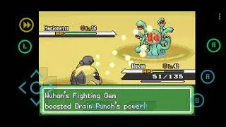 Pok&eacute;mon Clover v1.3.3: Gym Leader Snoop