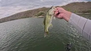 Jig Fishing at Apache Lake Mid-September 2025