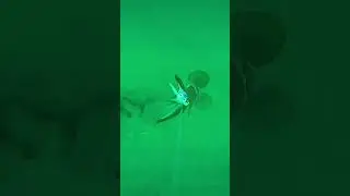 Squid are lightning in attack ⚡️ 🦑 #squidfishing #fishingcamera #seafishinguk