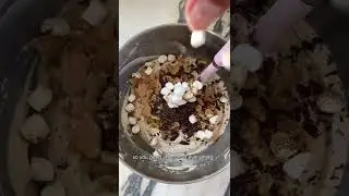 DIY S'mores Ice Cream #shorts