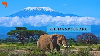 Kilimandscharo & Safari – das Dach von Afrika hautnah erleben!