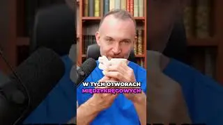 Zrozumienie stenozy kręgosłupa lędźwiowego i jej objaw&oacute;w