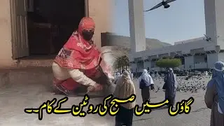 Village morning routine || Pakistan Village women life ||Tahreen Village Vlog