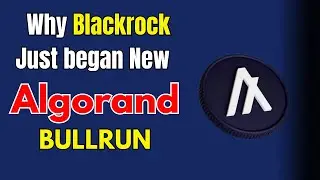 ALGO: Почему Blackrock может начать новый бычий рынок Algorand